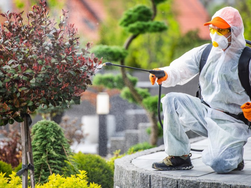 Ezine Haşere İlaçlama